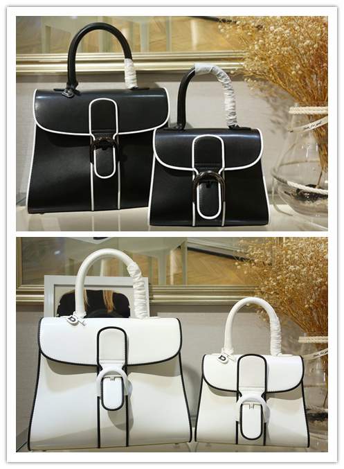 Picture of Delvaux Handbags _SKUfw173743141fw